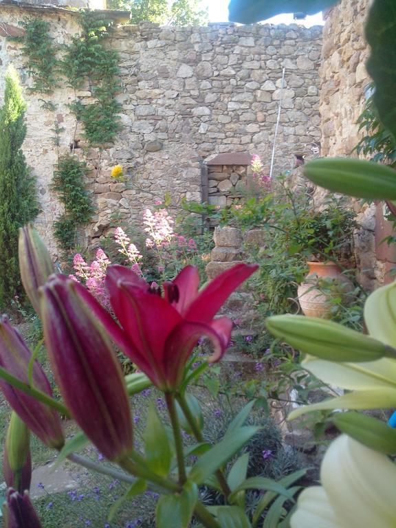 Le Clos De La Source Bed and Breakfast Le Bousquet-d'Orb Exteriör bild